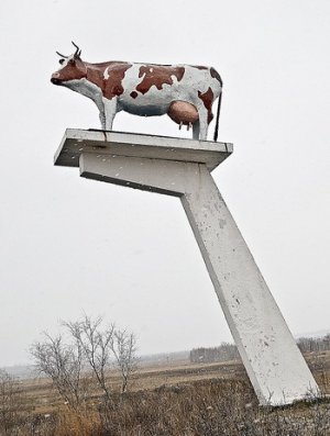 Раритет стал ближе к мелеузовцам