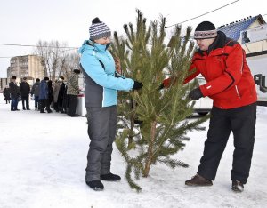 Праздничные хлопоты начинаются с покупок