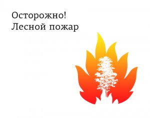 Осторожно: лесной пожар!