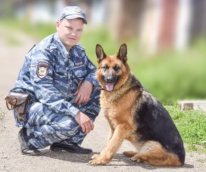 В одной связке