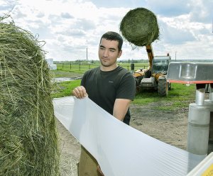 Фермеры КХ «Старт» освоили «всепогодную» технологию