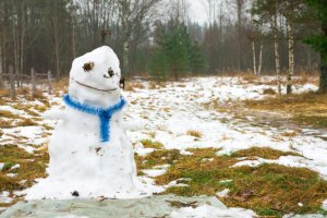 Снега в Башкирии не ожидается - Башгидромет